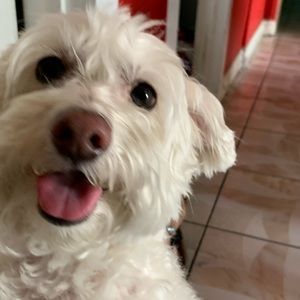 Meet your Posher, Ruby